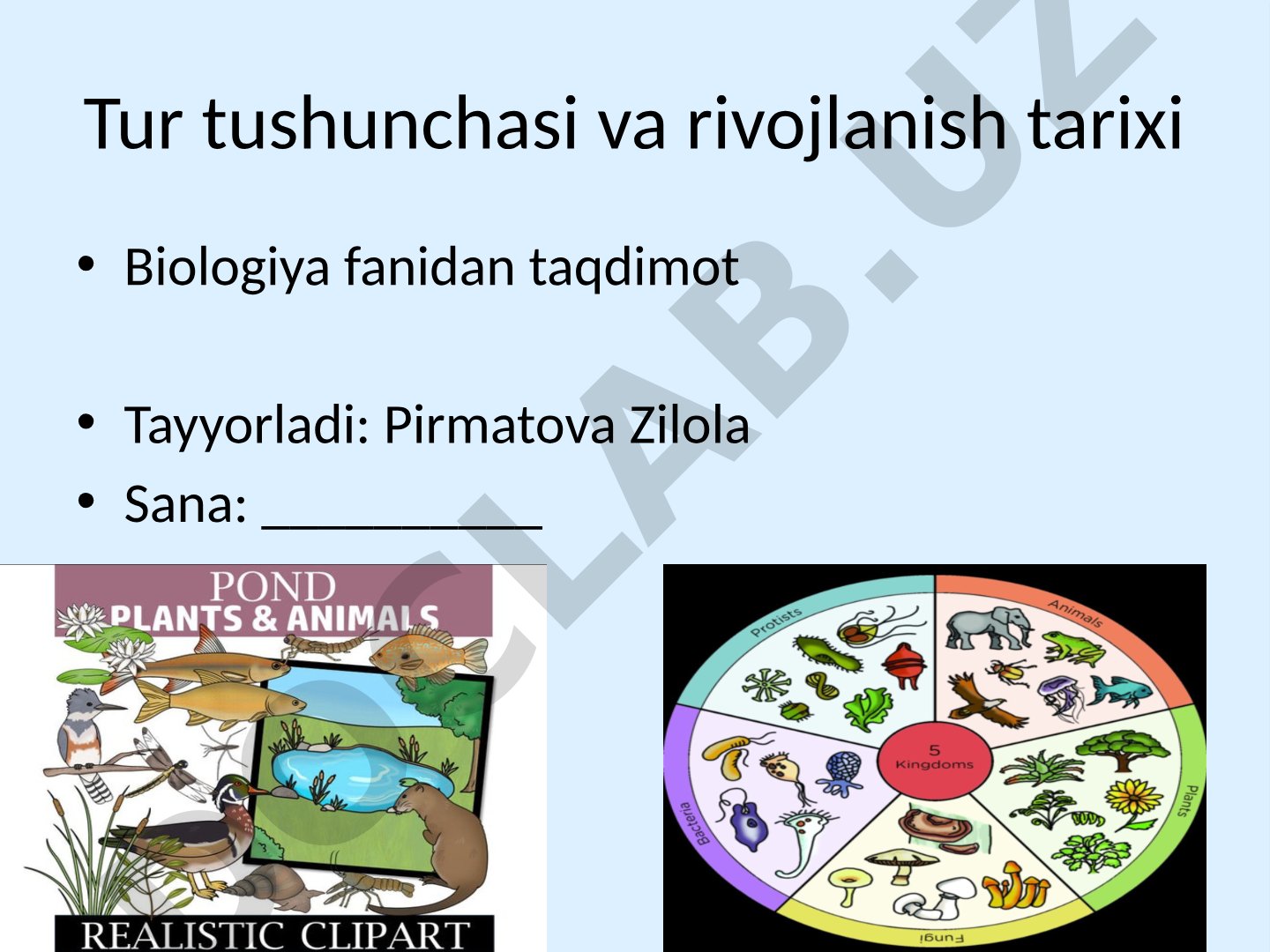 Tur tushunchasi va rivojlanish tarixi