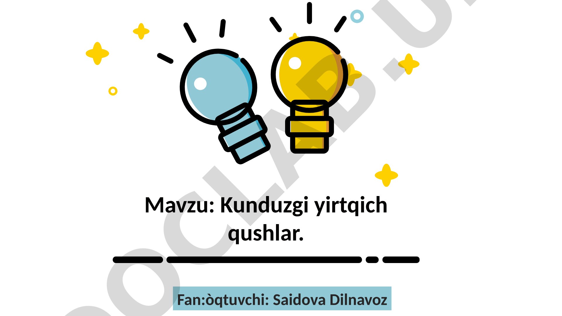 Kunduzgi yirtqich qushlar