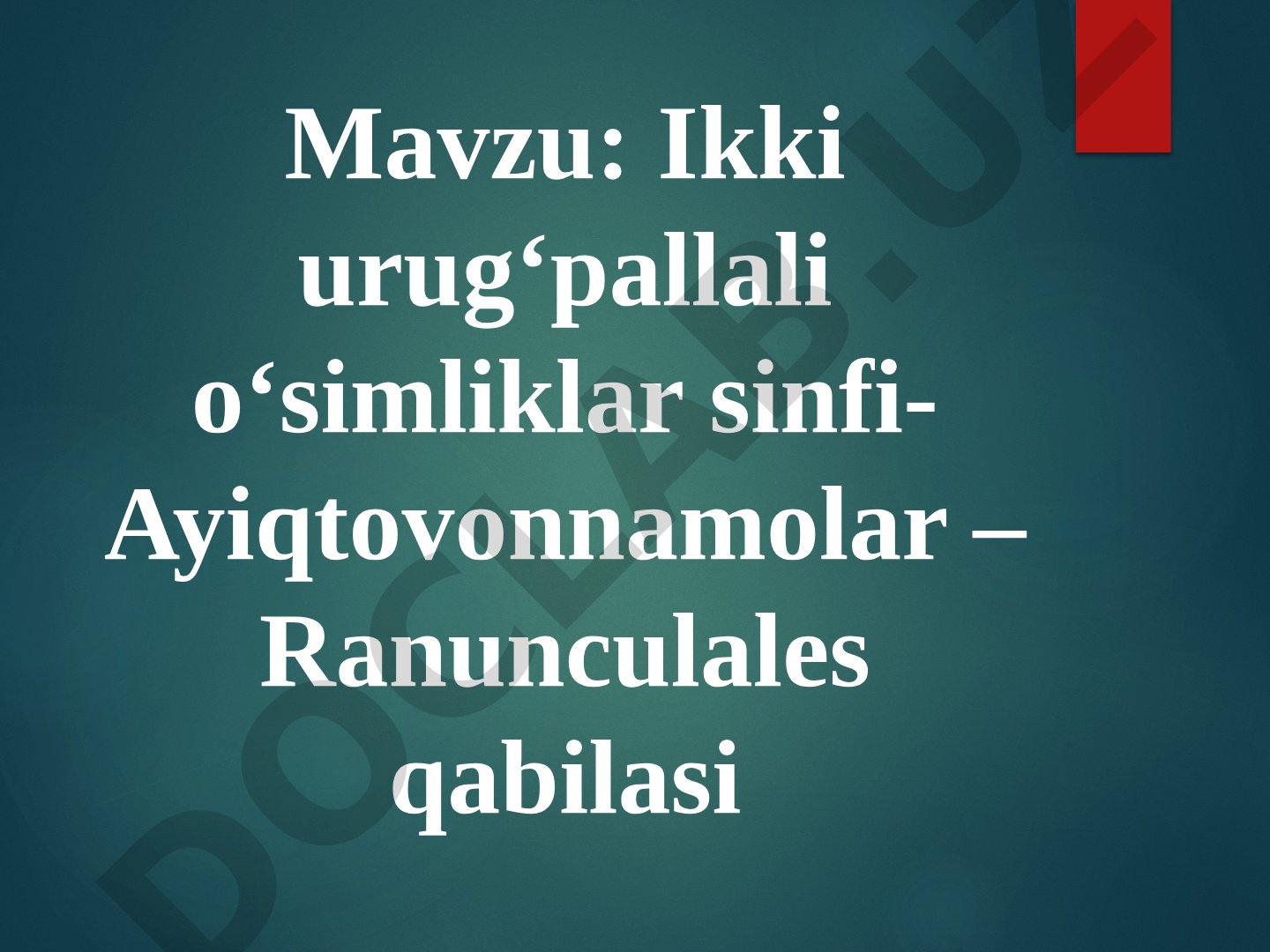 Ikki urug‘pallali o‘simliklar sinfi - Ayiqtovonnamolar – Ranunculales qabilasi