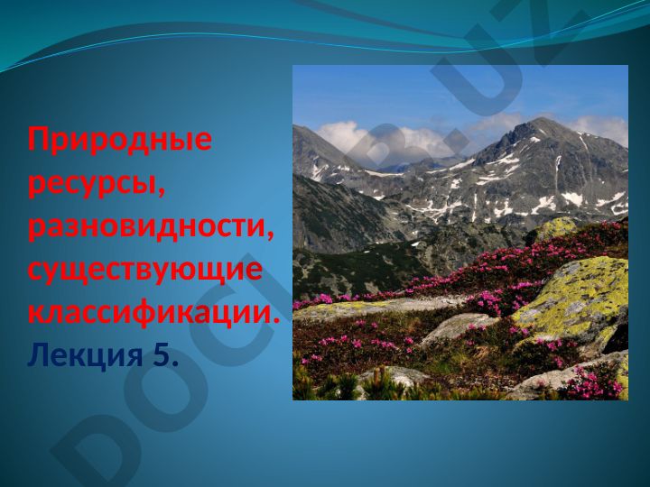 Природные ресурсы, разновидности, существующие классификации