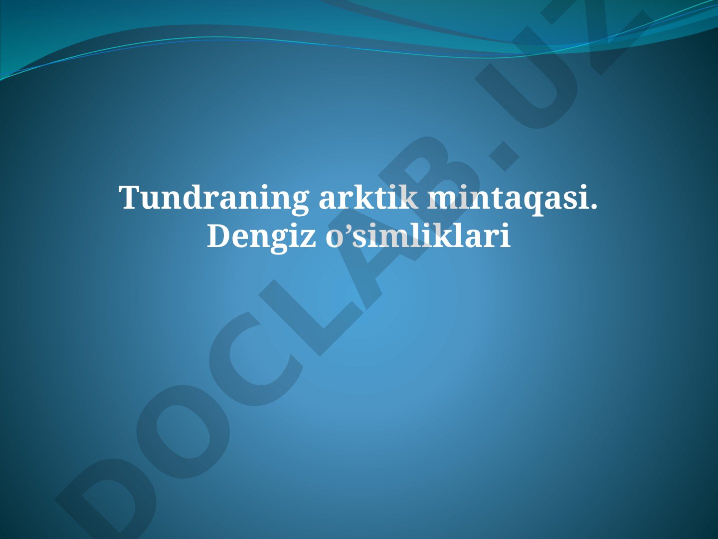 Arktik tundra o'simliklari va iqlimi