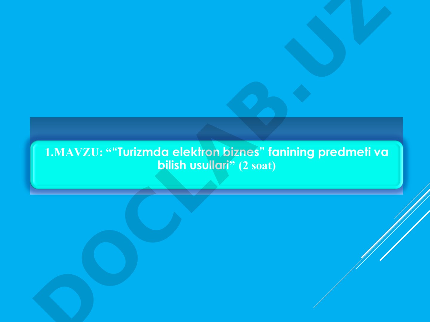 Turizmda elektron biznes