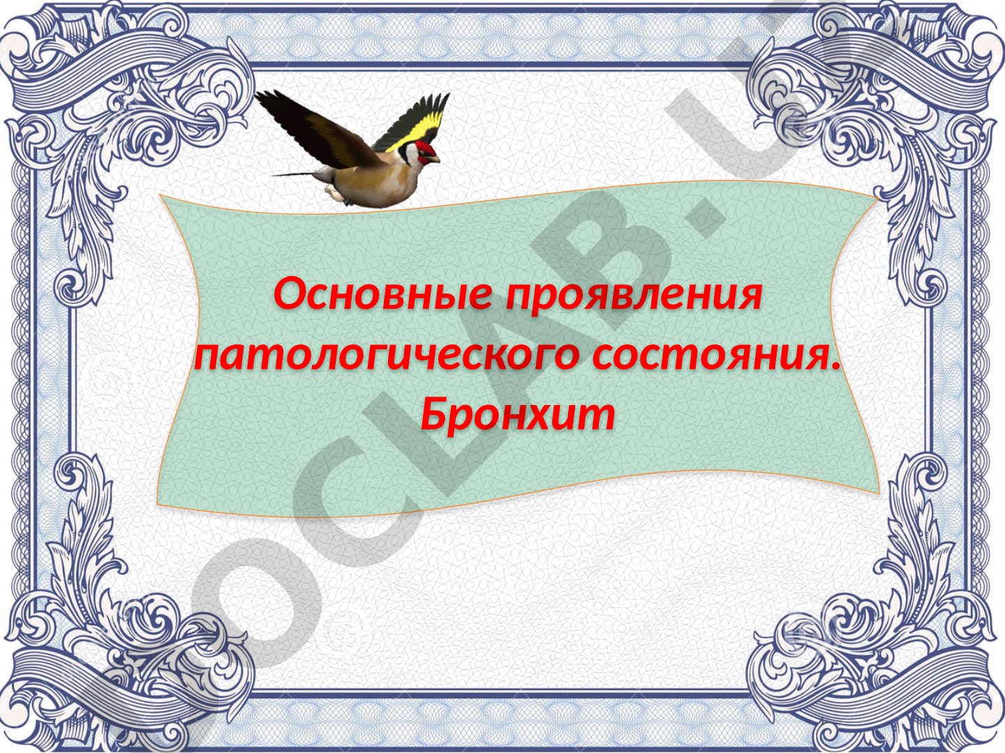 Основные проявления патологического состояния. Бронхит