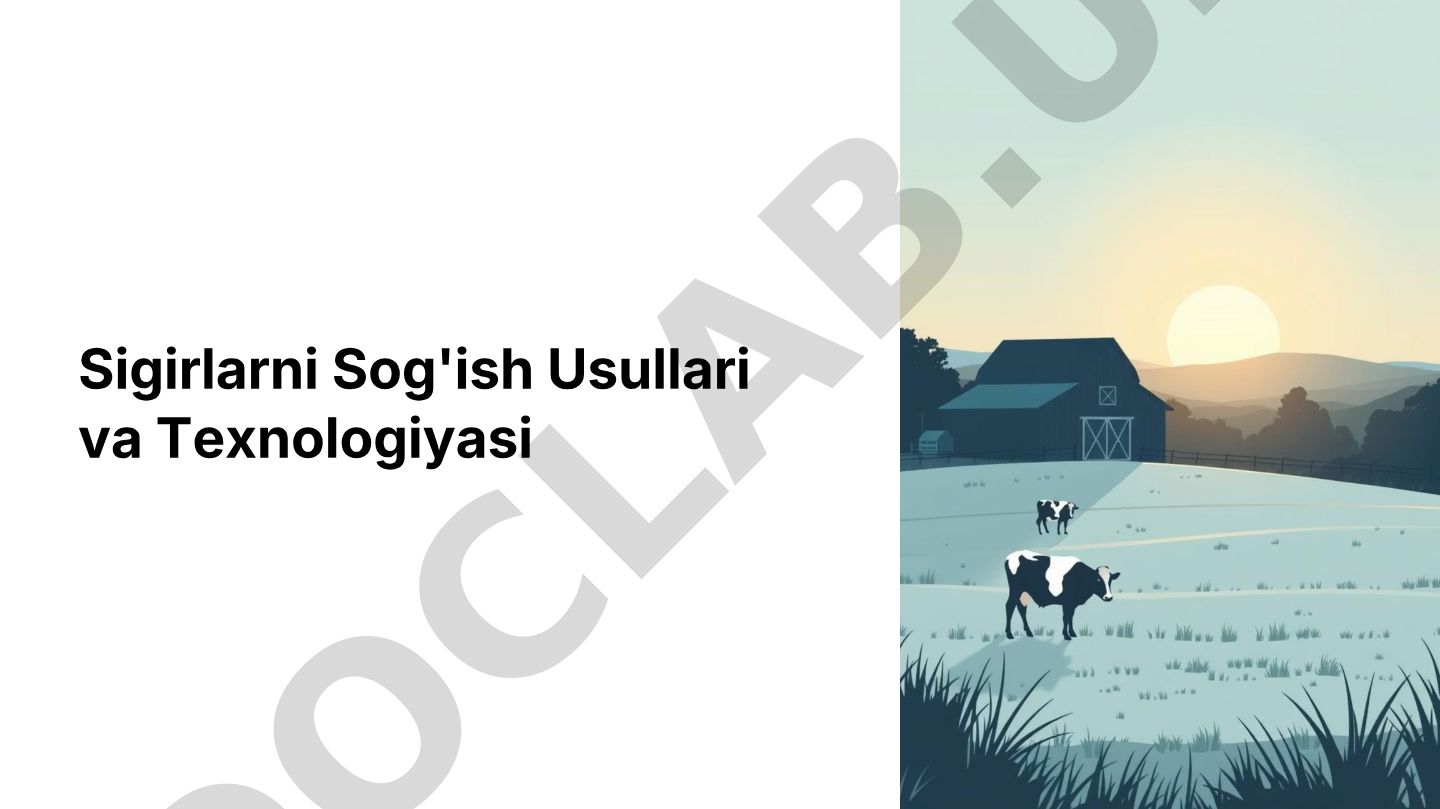 Sigirlarni sog'ish usullari va texnologiyasi