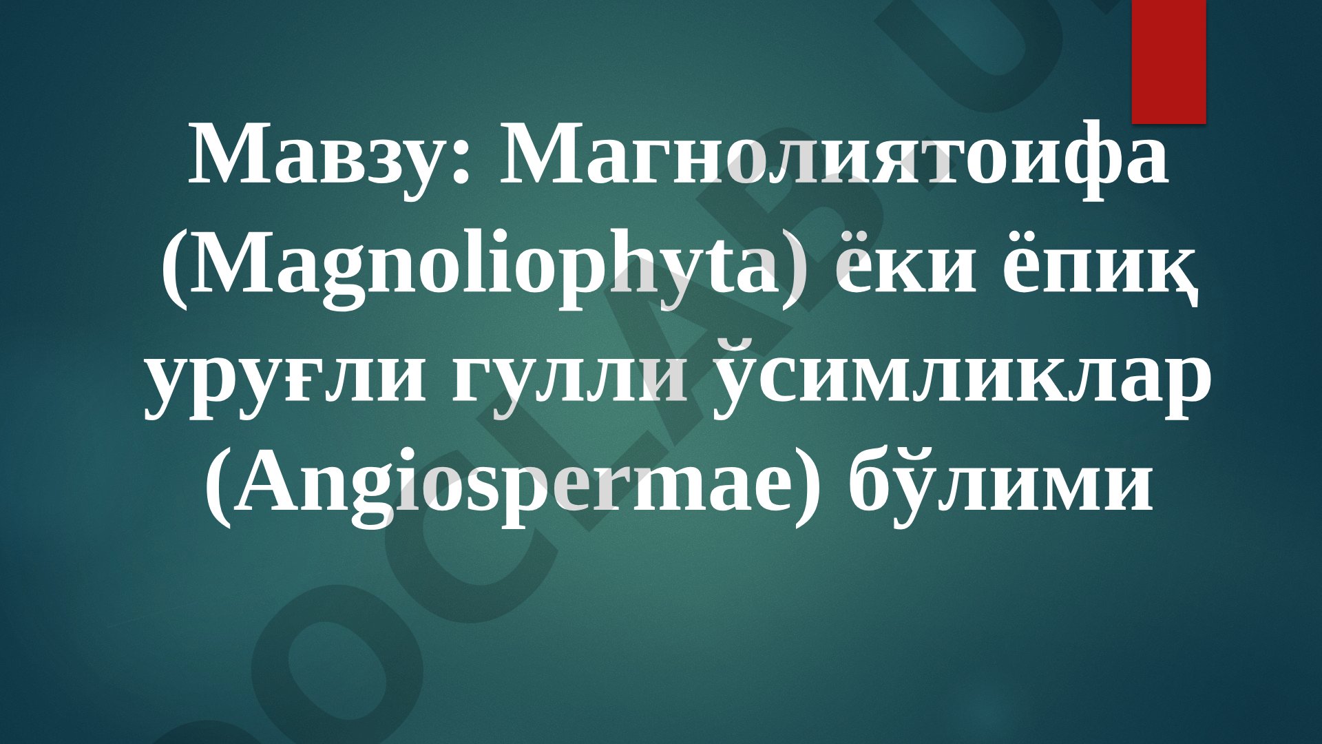 Магнолиятоифа (Magnoliophyta) ёки ёпиқ уруғли гулли ўсимликлар (Angiospermae) бўлими