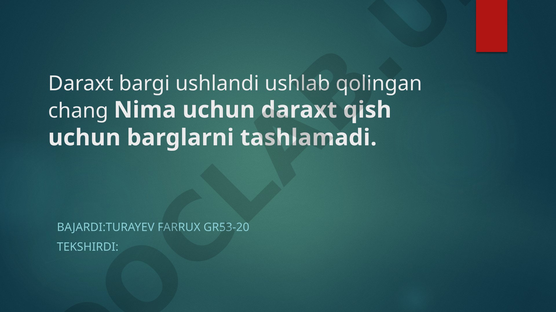 Nima uchun daraxt qish uchun barglarni tashlamadi