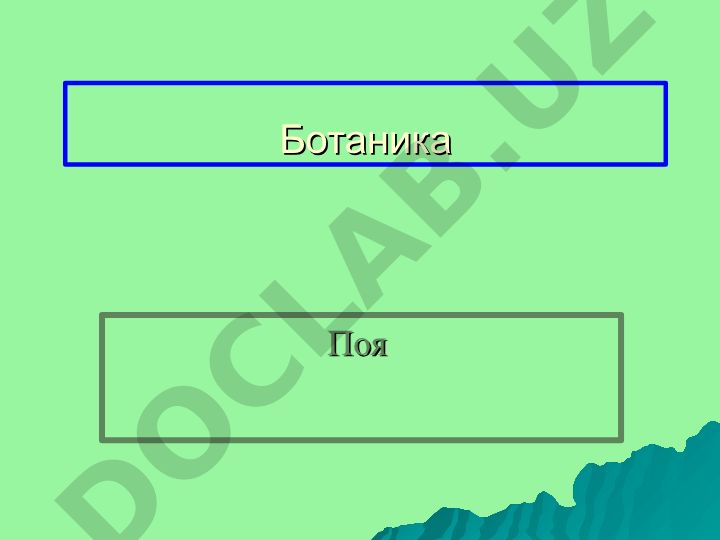 Ботаника Поя Асосий саволлар