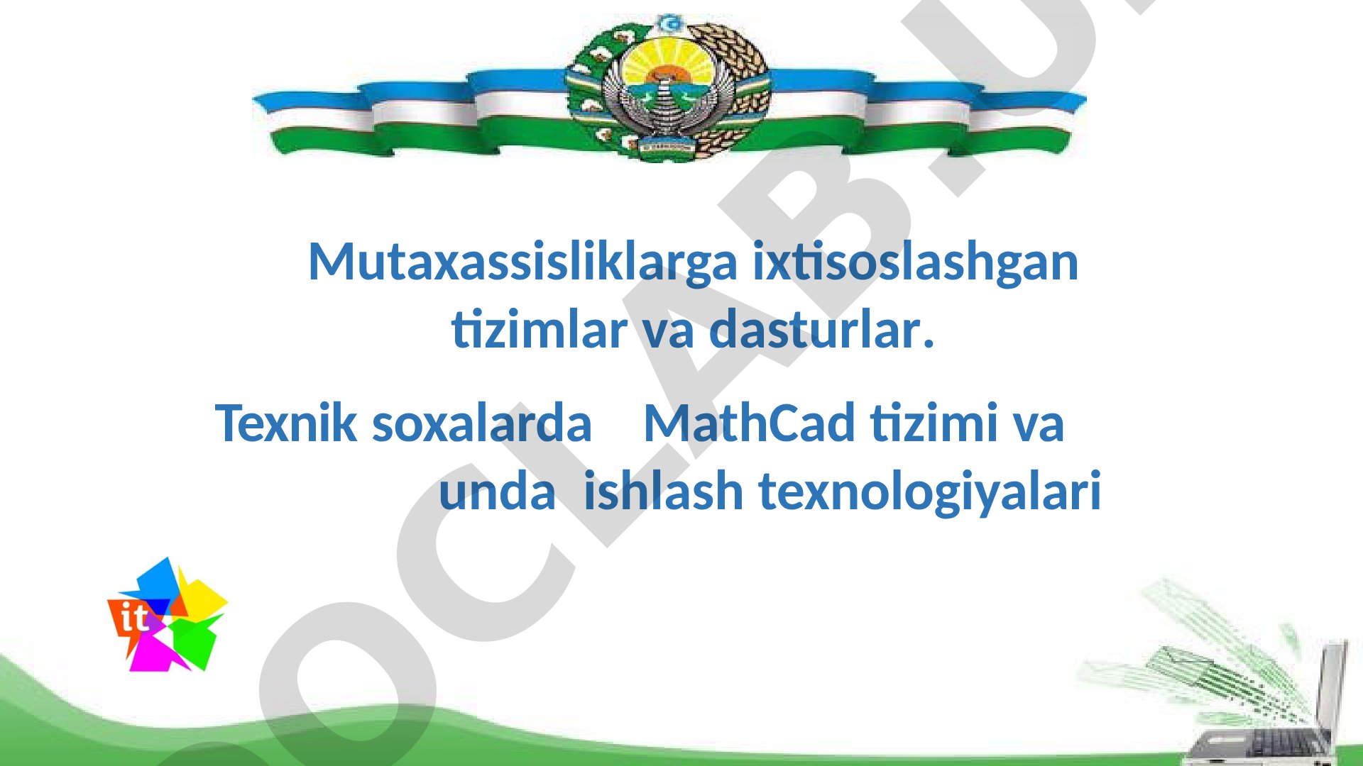 Mutaxassisliklarga ixtisoslashgan tizimlar va dasturlar