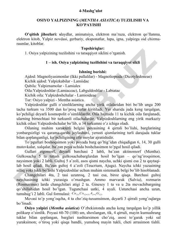 Osiyo yalpizining tuzilishi va ko'payishi