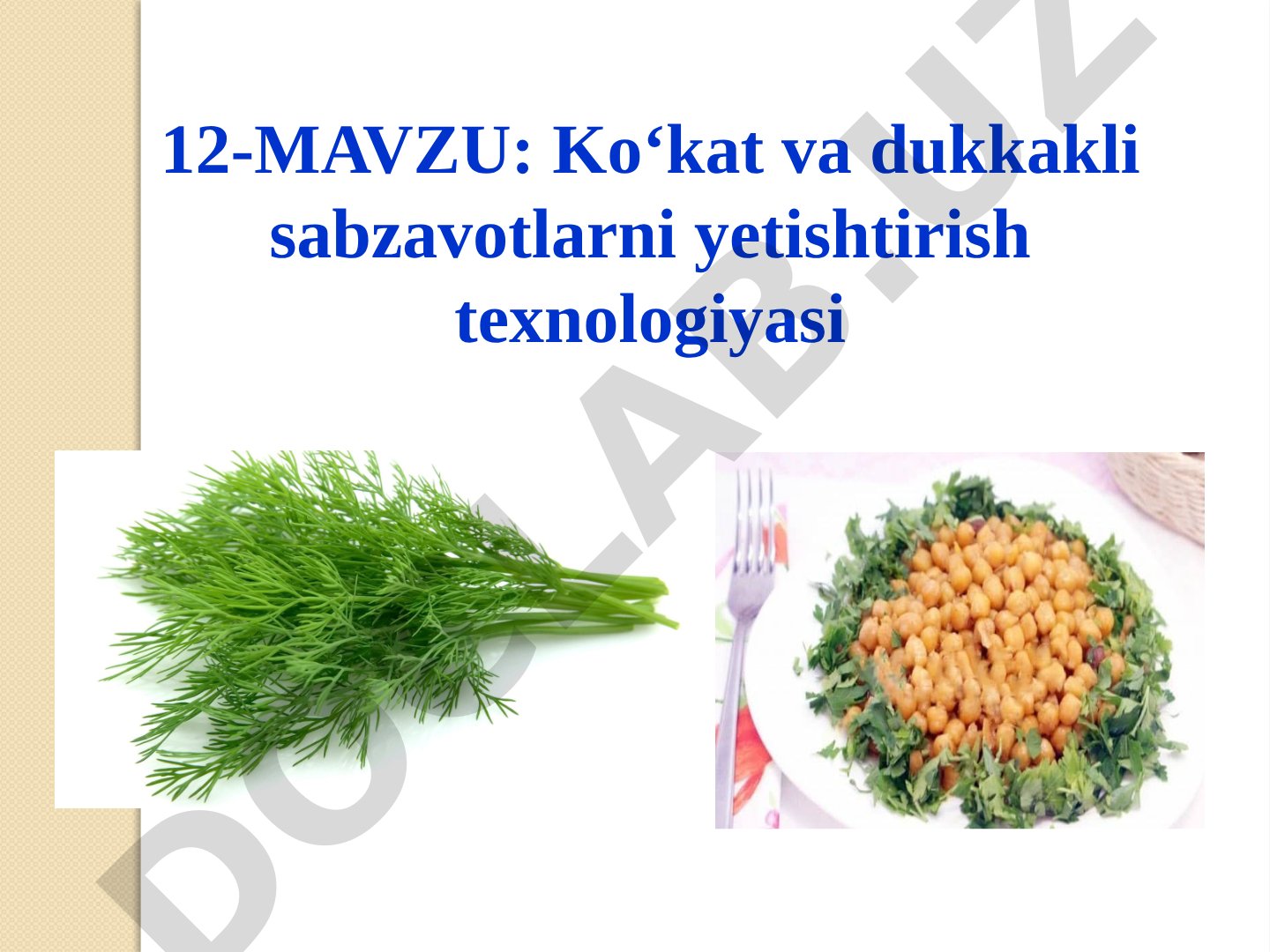 Ko‘kat va dukkakli sabzavotlarni yetishtirish texnologiyasi