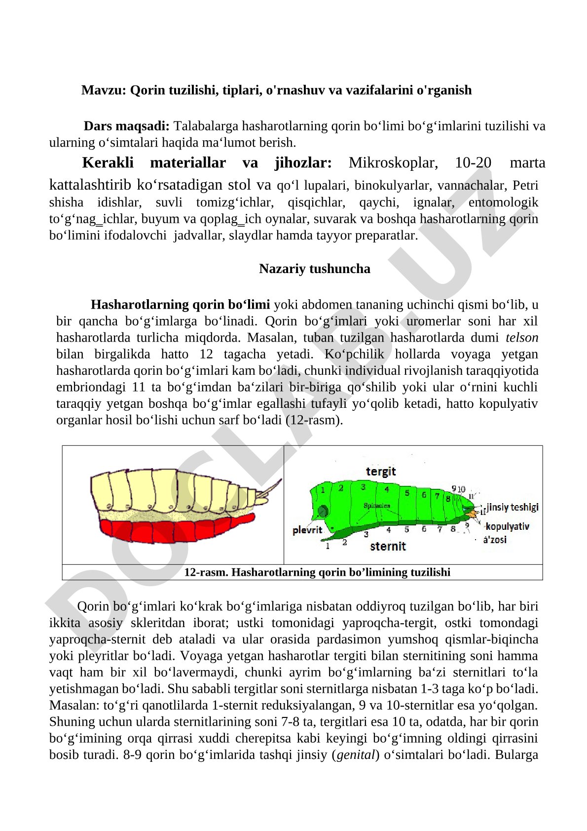 Qorin tuzilishi, tiplari, o'rnashuv va vazifalarini o'rganish