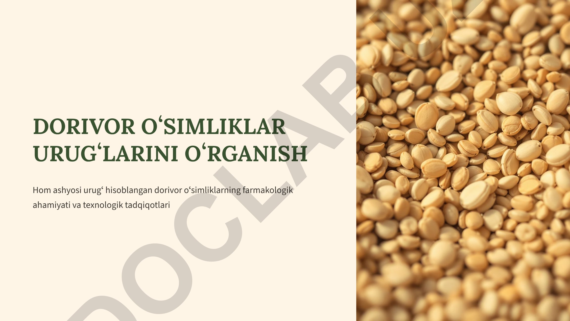 Dorivor o'simliklar urug'larini o'rganish