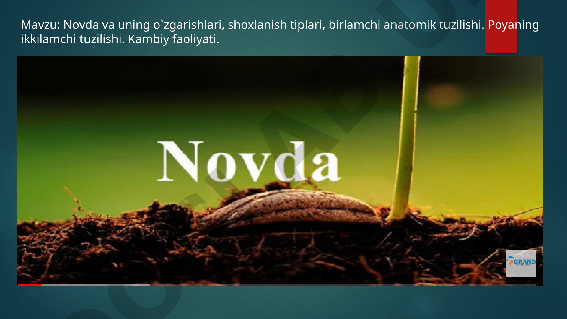 Novda va uning o`zgarishlari, shoxlanish tiplari, birlamchi anatomik tuzilishi. Poyaning ikkilamchi tuzilishi. Kambiy faoliyati