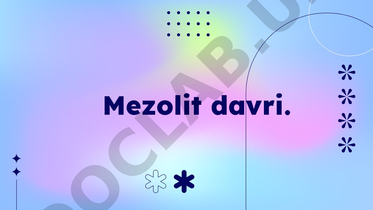 Mezolit davri