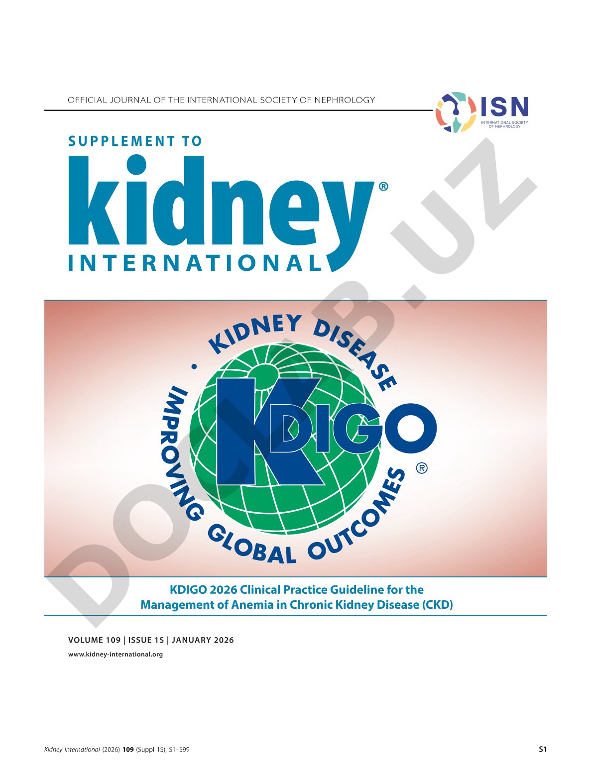 KDIGO 2026 Clinical Practice Guideline for the Management of Anemia in Chronic Kidney Disease