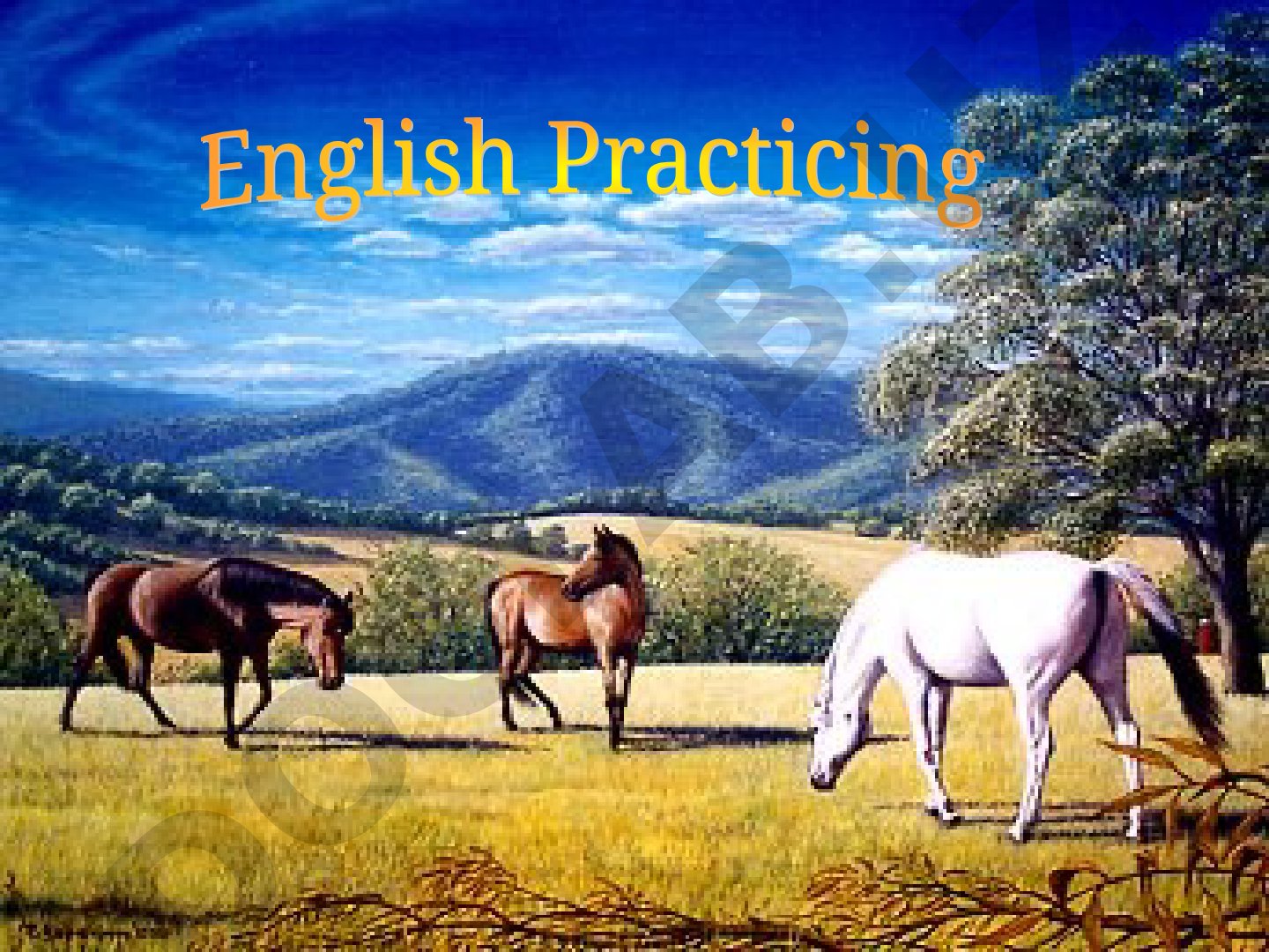 Present Simple Usage: Repeated Actions and Facts