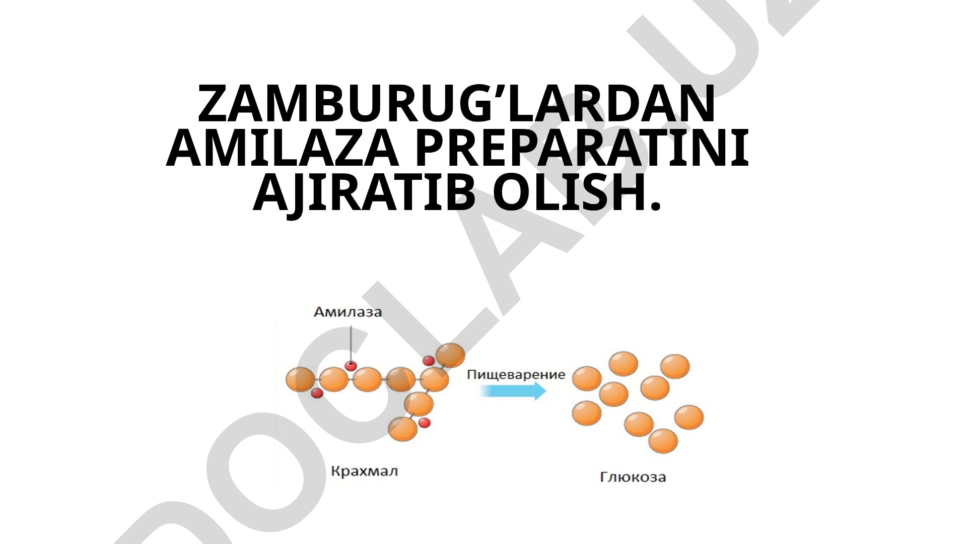 Zamburug'lardan amilaza preparatini ajratib olish va uning klassifikatsiyasi