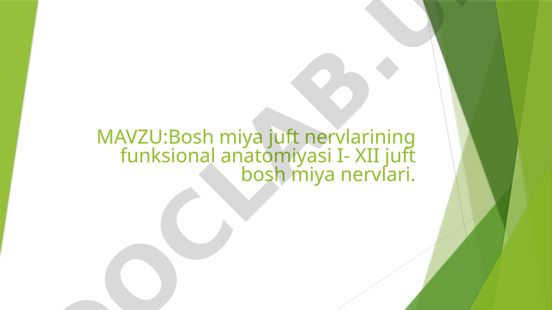 Bosh miya juft nervlarining funksional anatomiyasi I-XII juft bosh miya nervlari