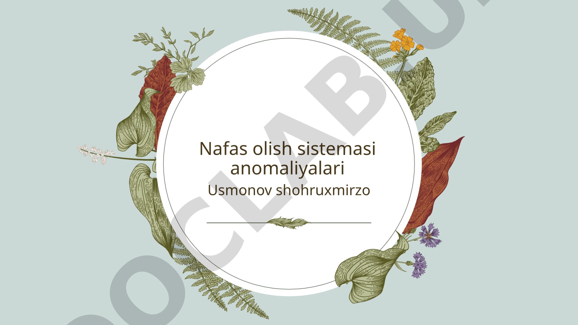 Nafas olish sistemasi anomaliyalari