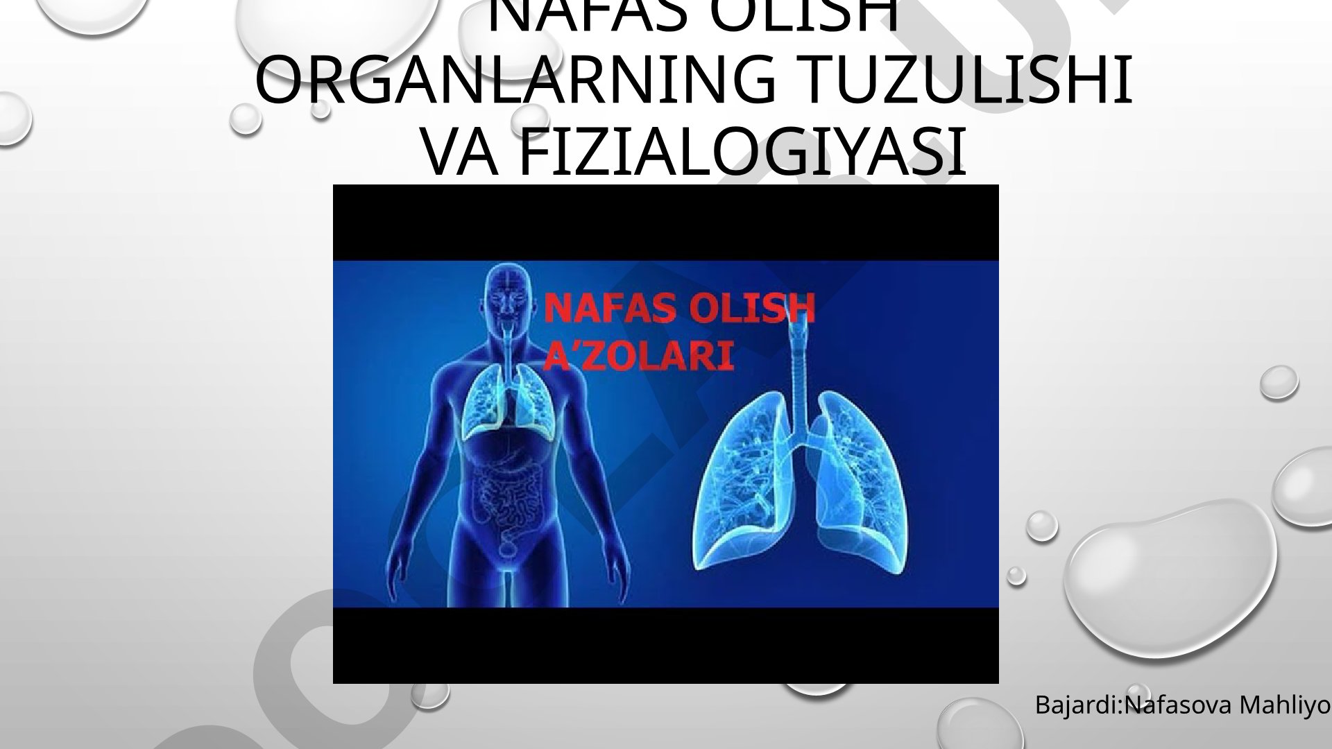 Nafas olish organlarning tuzulishi va fizialogiyasi