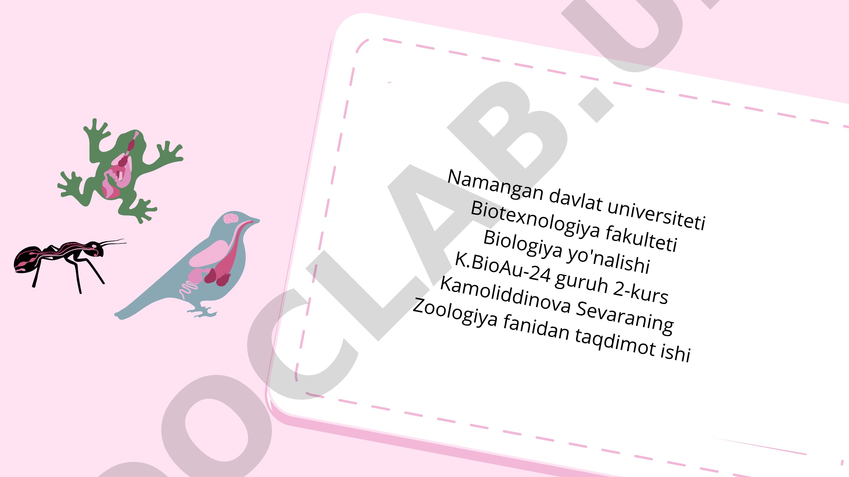 Xordalilar tipi- Chordata Lichinkaxordalilar - Urochardata kenja tipining sistematikasi va filogeniyasi