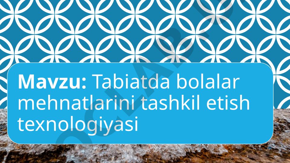 Tabiatda bolalar mehnatlarini tashkil etish texnologiyasi