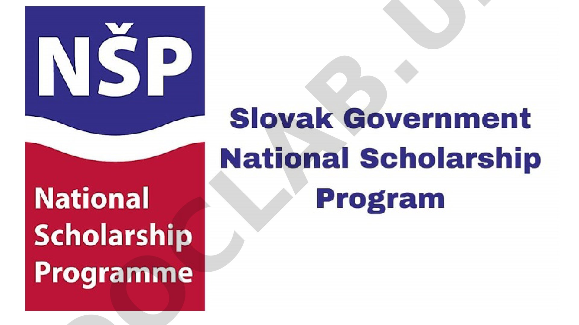 National Scholarship Programme Словакия