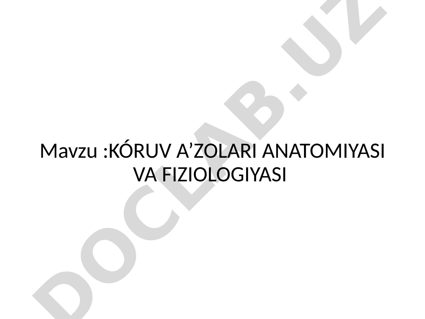 Ko'ruv a'zolari anatomiyasi va fiziologiyasi