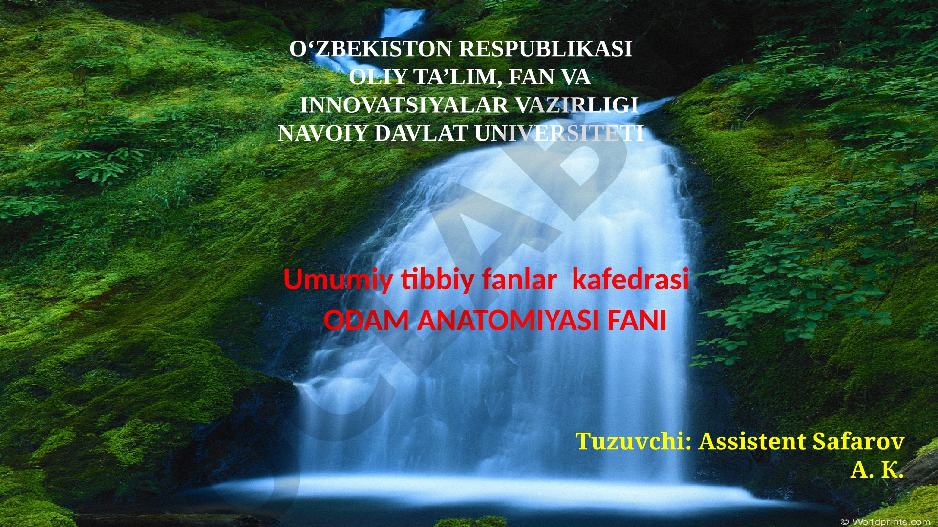 Qorin parda. Qorin bo'shlig'ining topografiyasi. Burun bo'shlig'i. Hiqildoq. Traxeya. Bronxlar. O'pka. Plevra. Ko'ks oralig'i. Qalqonsimon, qalqon orqa, ayrisimon bezlar
