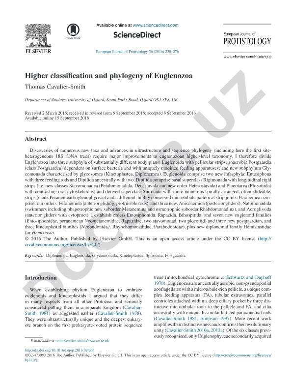 Euglenozoa yuqori tasnifi va filogeniyasi