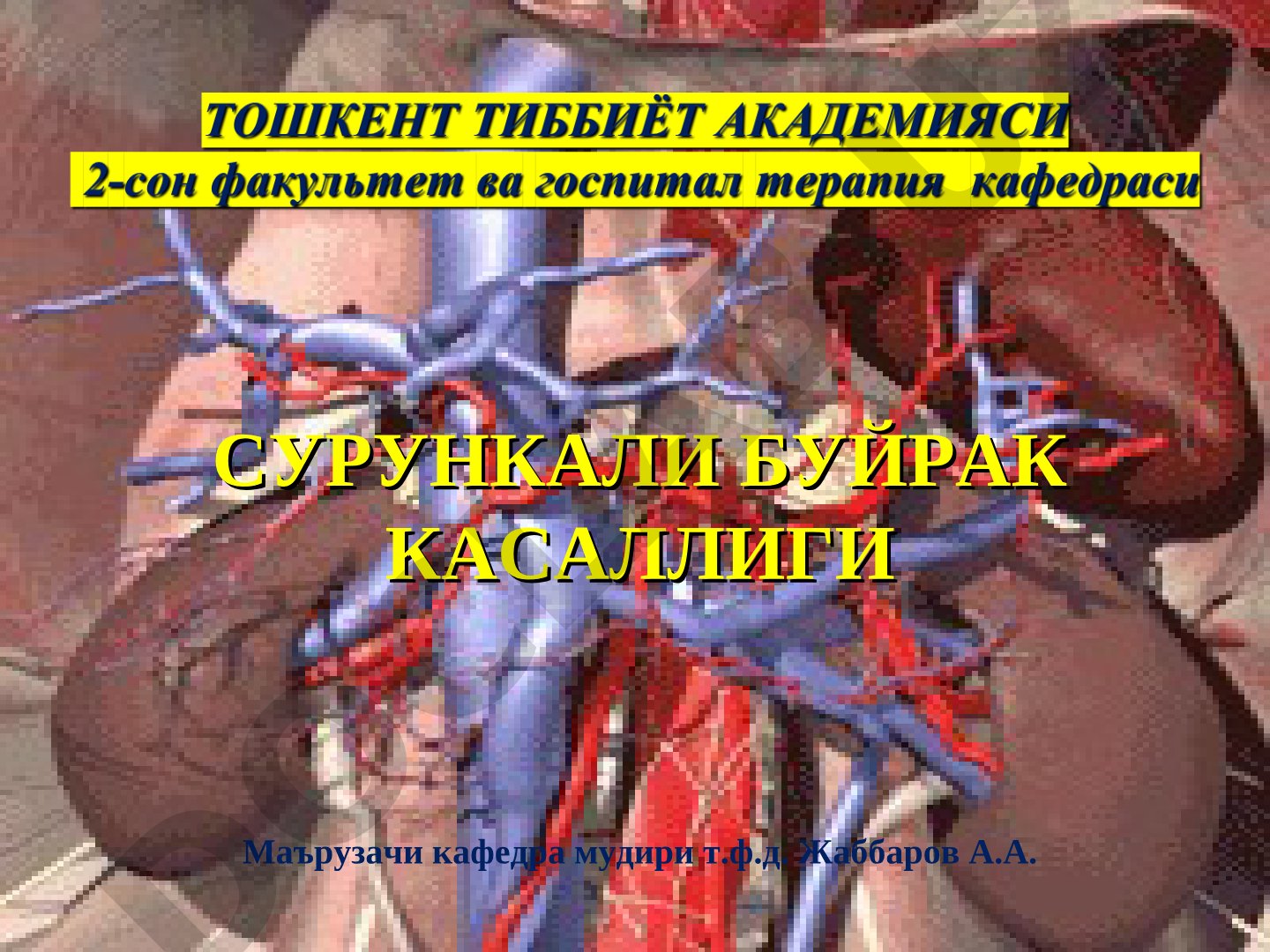 СУРУНКАЛИ БУЙРАК КАСАЛЛИГИ