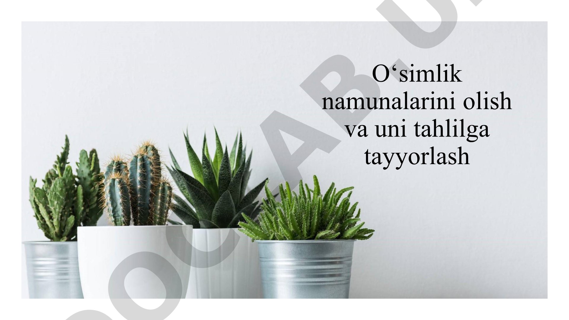 Oʻsimlik namunalarini olish va uni tahlilga tayyorlash