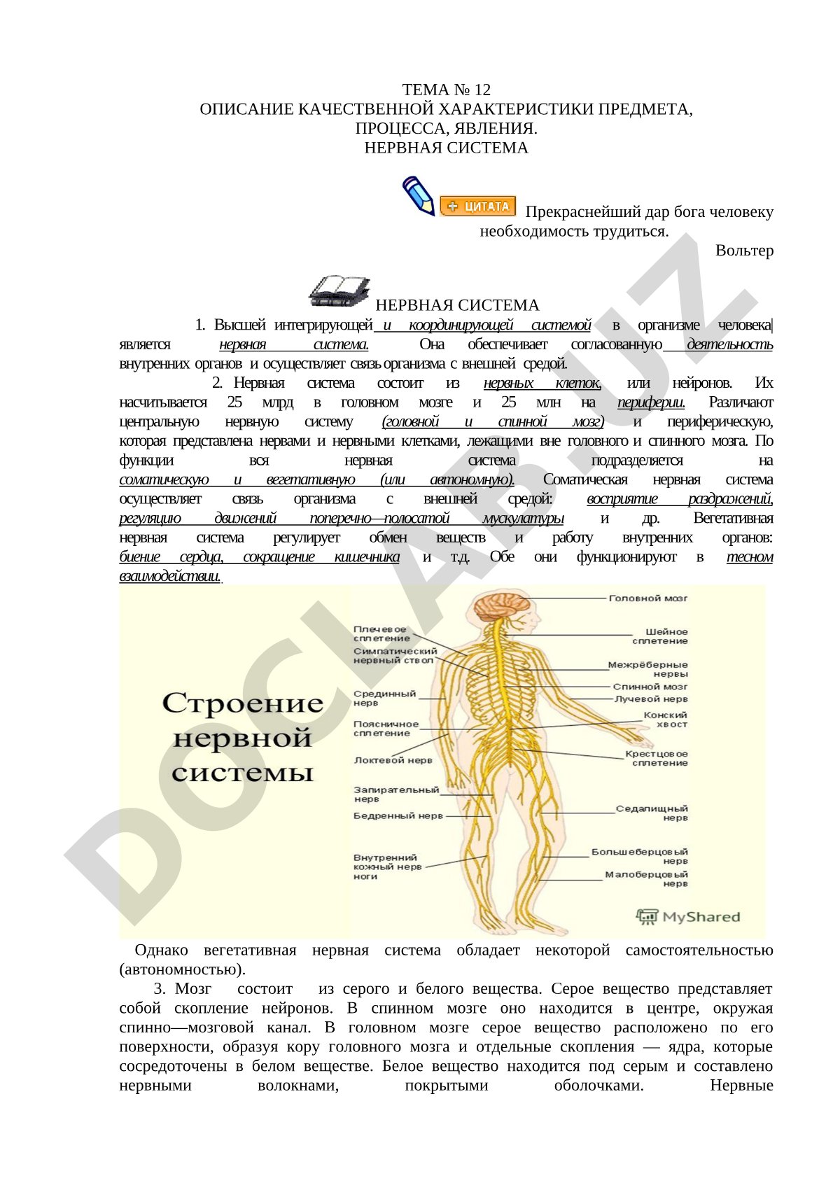 Нервная система