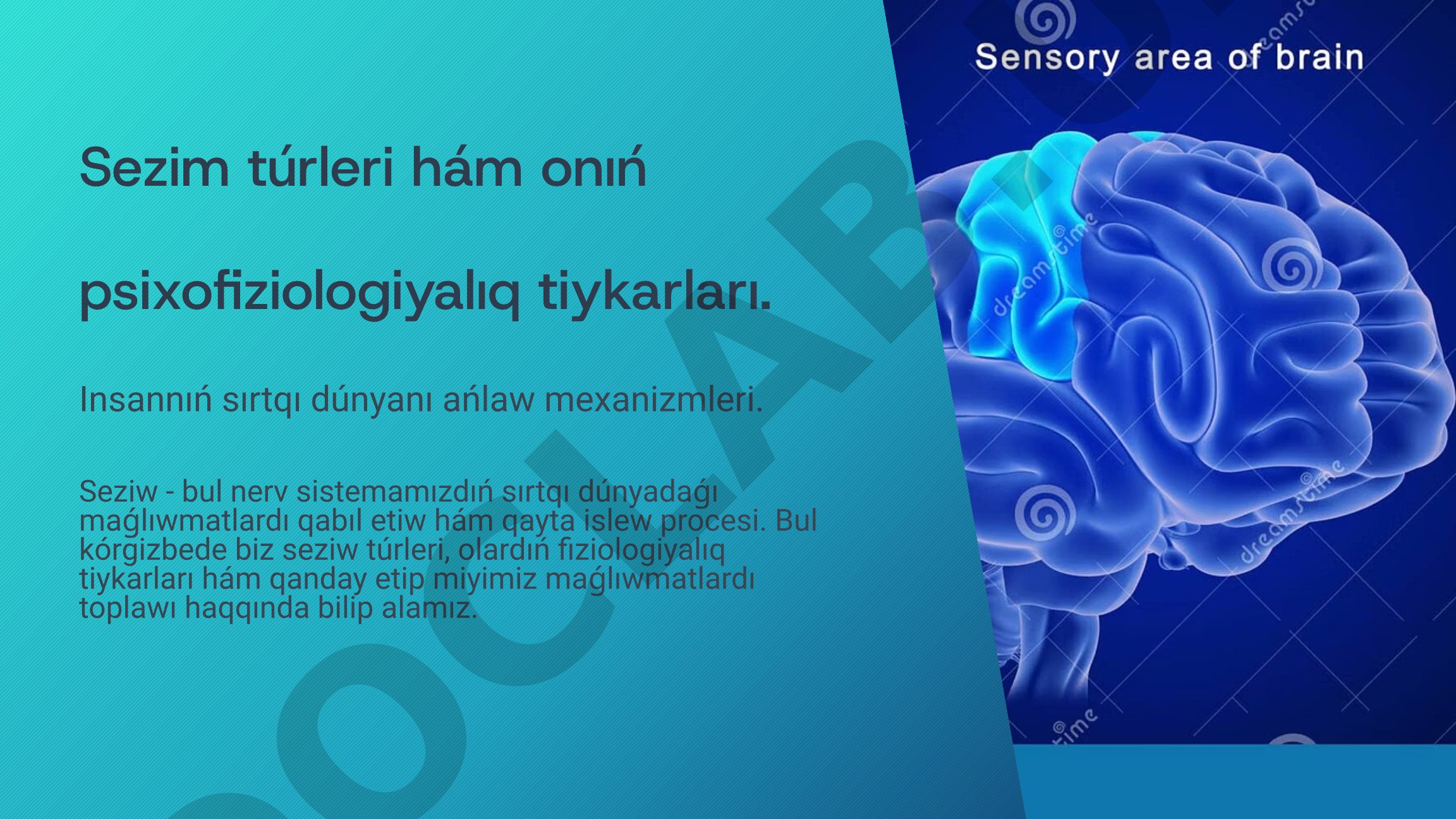 Sezim túrleri hám onıń psixofiziologiyalıq tiykarları