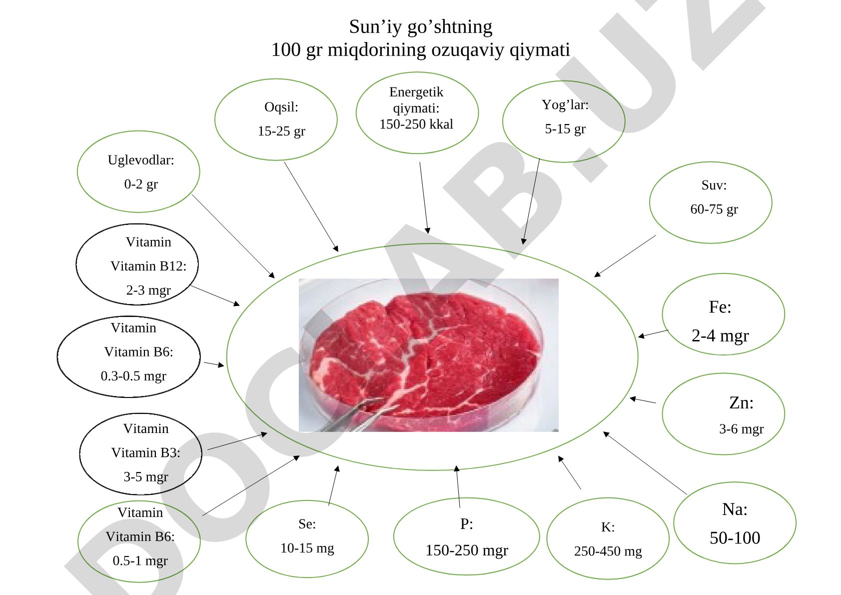 Sun’iy go’shtning 100 gr miqdorining ozuqaviy qiymati