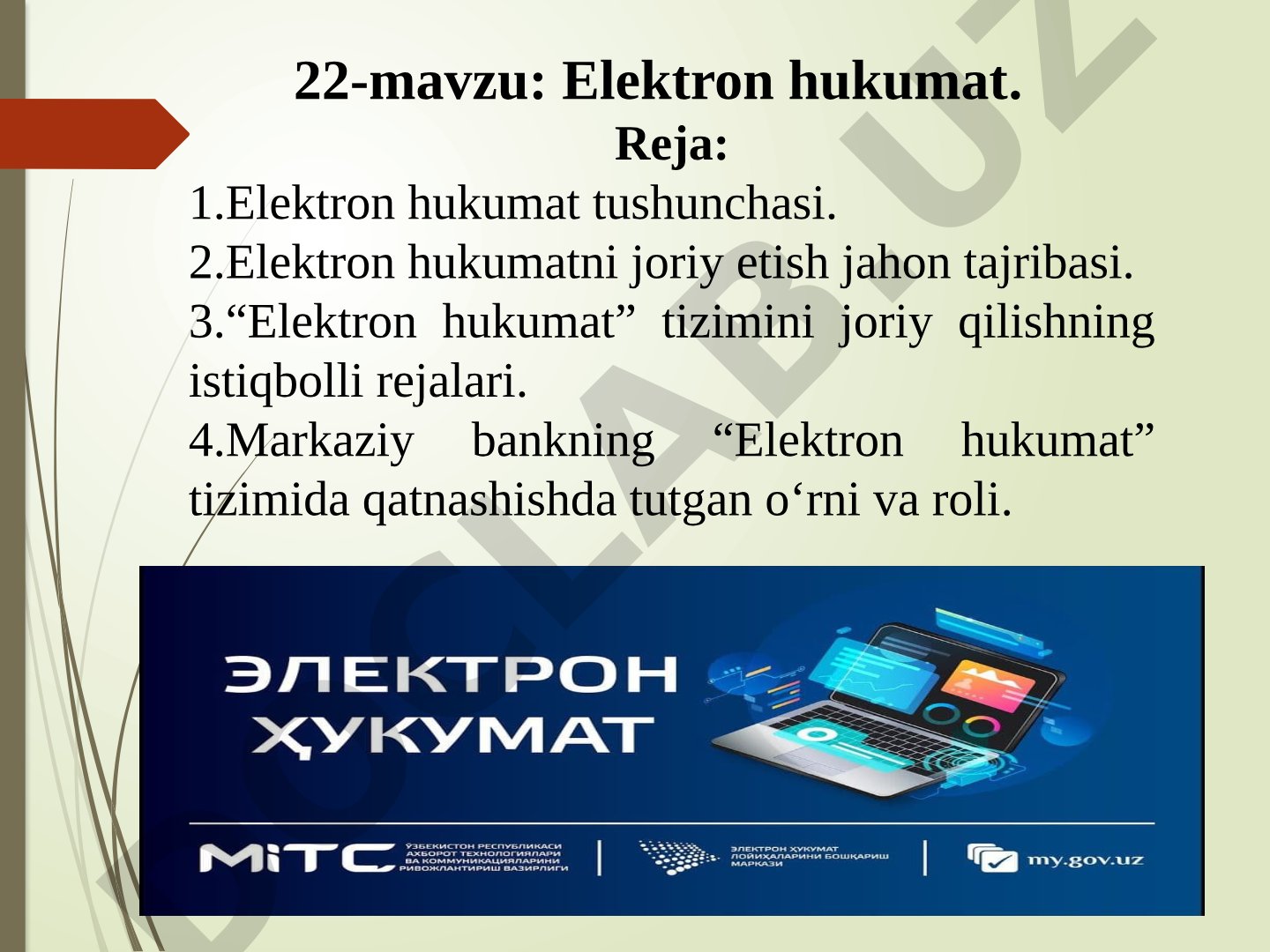 Elektron hukumat