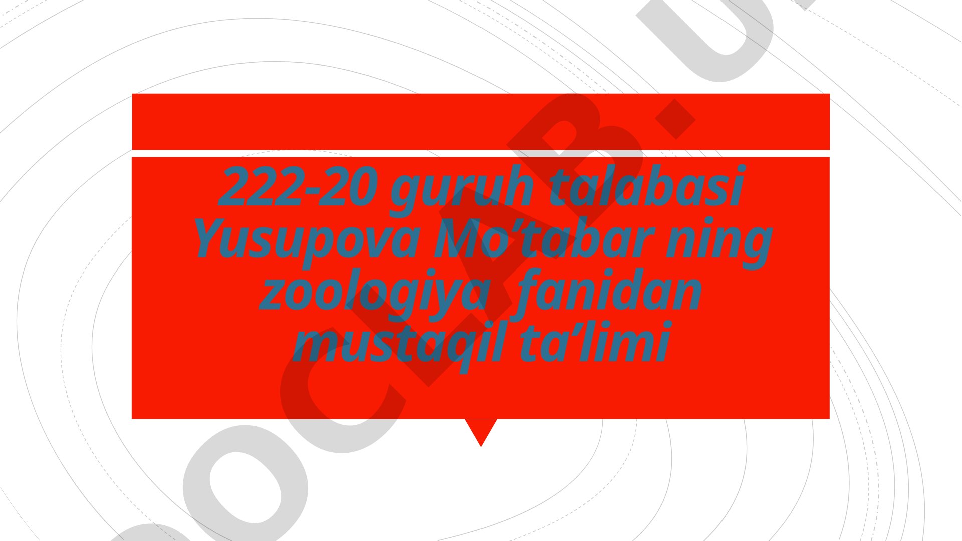 Zoologiya: Ang’irt va suralay g’oz turlari