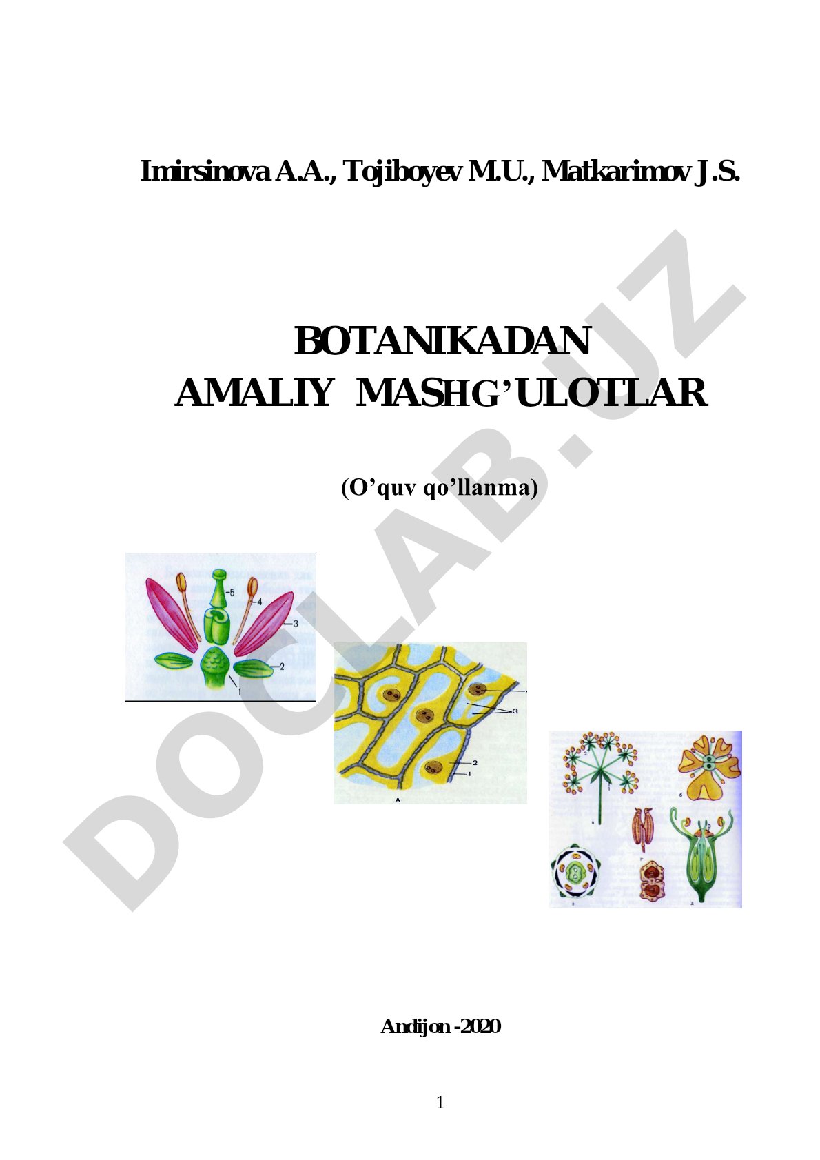 Botanikadan amaliy mashg‘ulotlar, universitet talabalari uchun o‘quv qo‘llanma