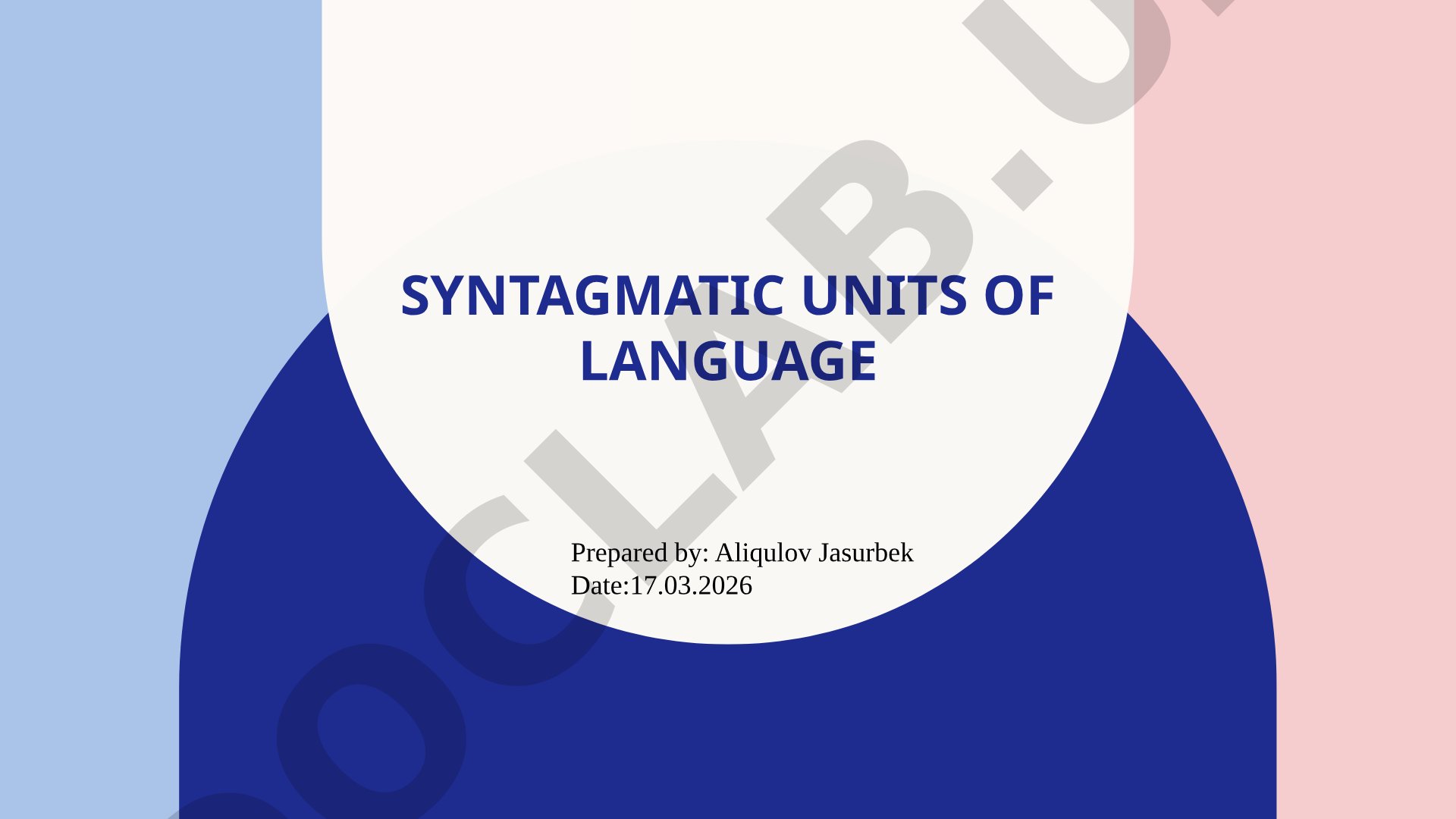 Syntagmatic Units of Language