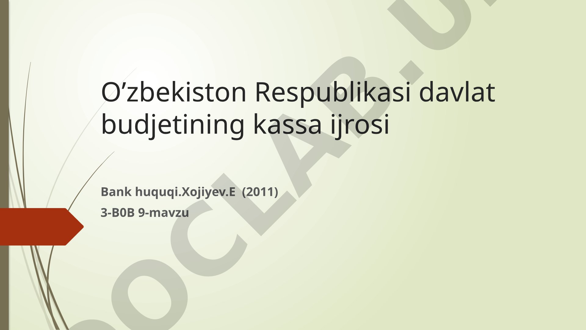 Davlat budjeti kassa ijrosi