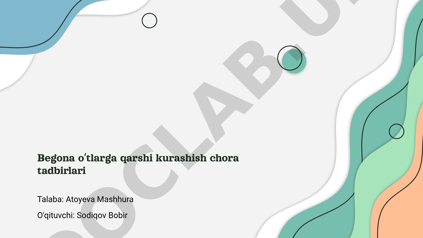 Begona o'tlarga qarshi kurashish chora tadbirlari