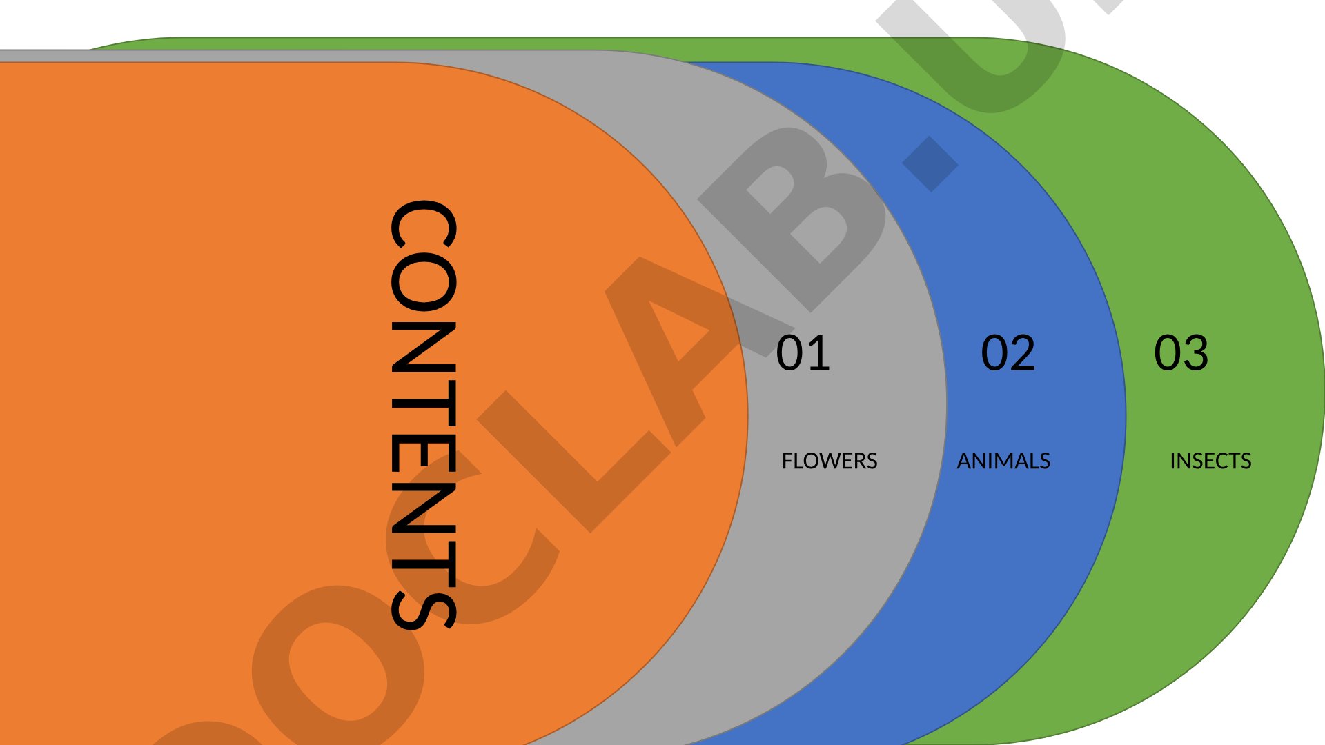 Flowers Animals Insects Painting
