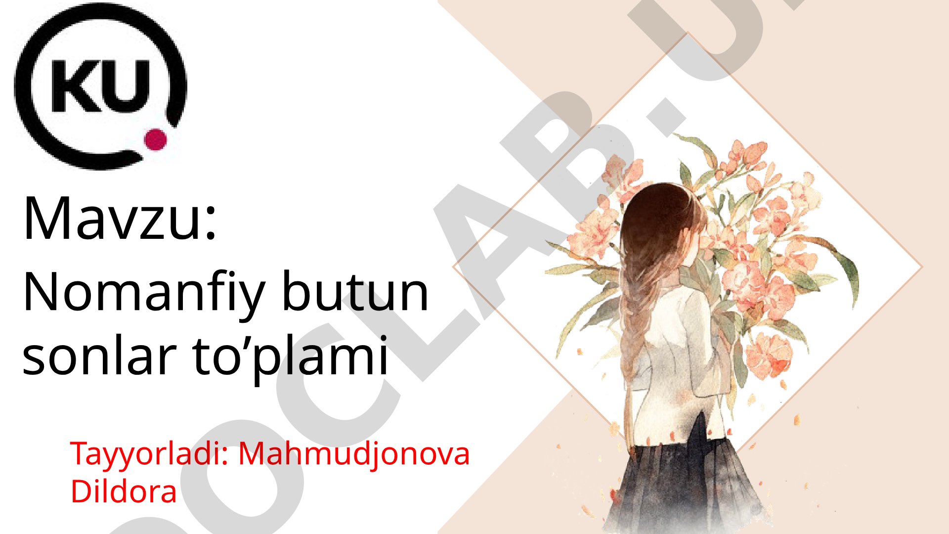 Nomanfiy butun sonlar to’plami
