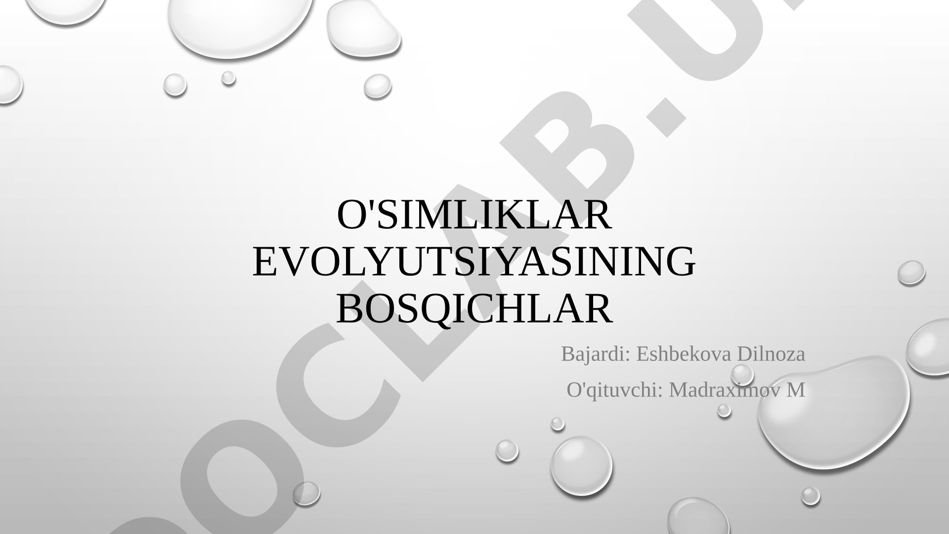 O'simliklar evolyutsiyasining asosiy bosqichlari haqida