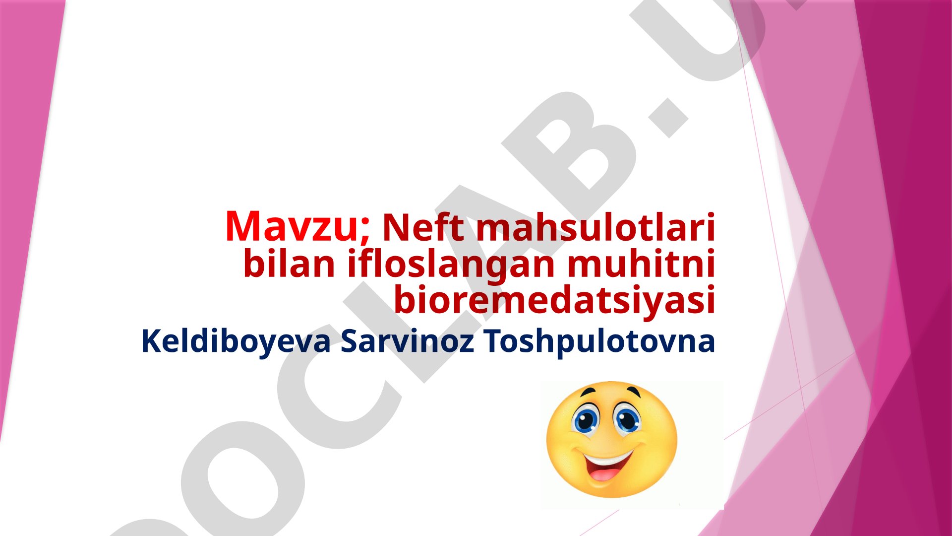 Neft mahsulotlari bilan ifloslangan muhitni bioremedatsiyasi