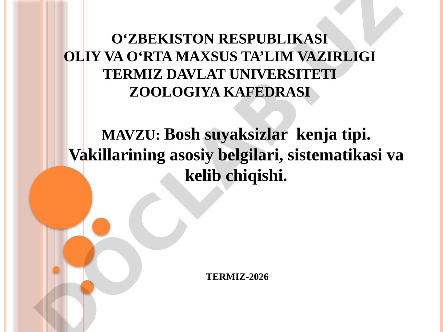 Bosh suyaksizlar kenja tipi. Vakillarining asosiy belgilari, sistematikasi va kelib chiqishi