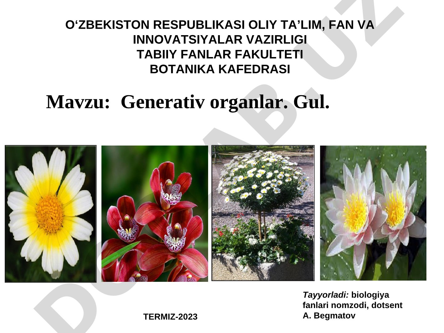 Generativ organlar. Gul
