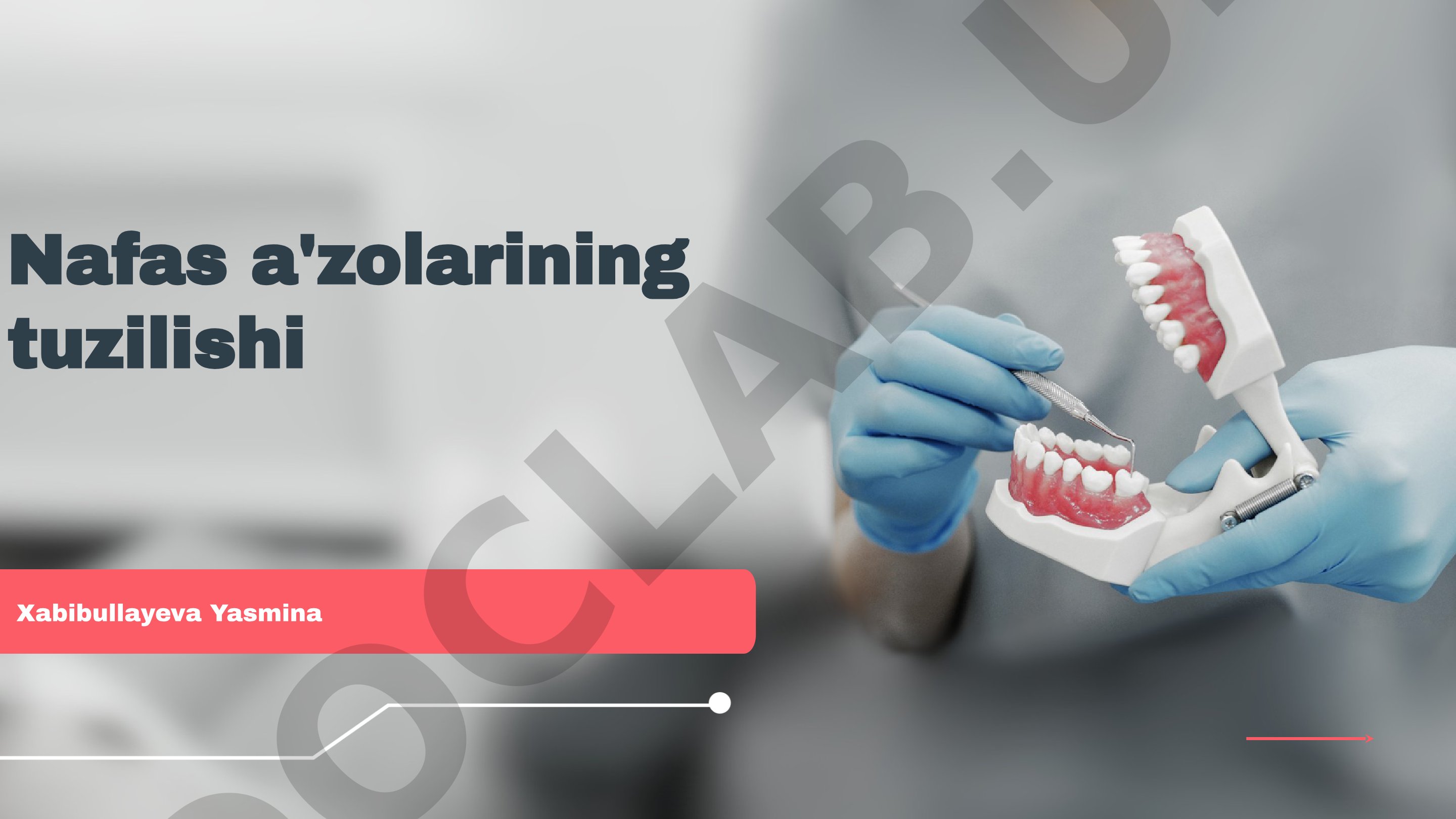 Nafas a'zolarining tuzilishi