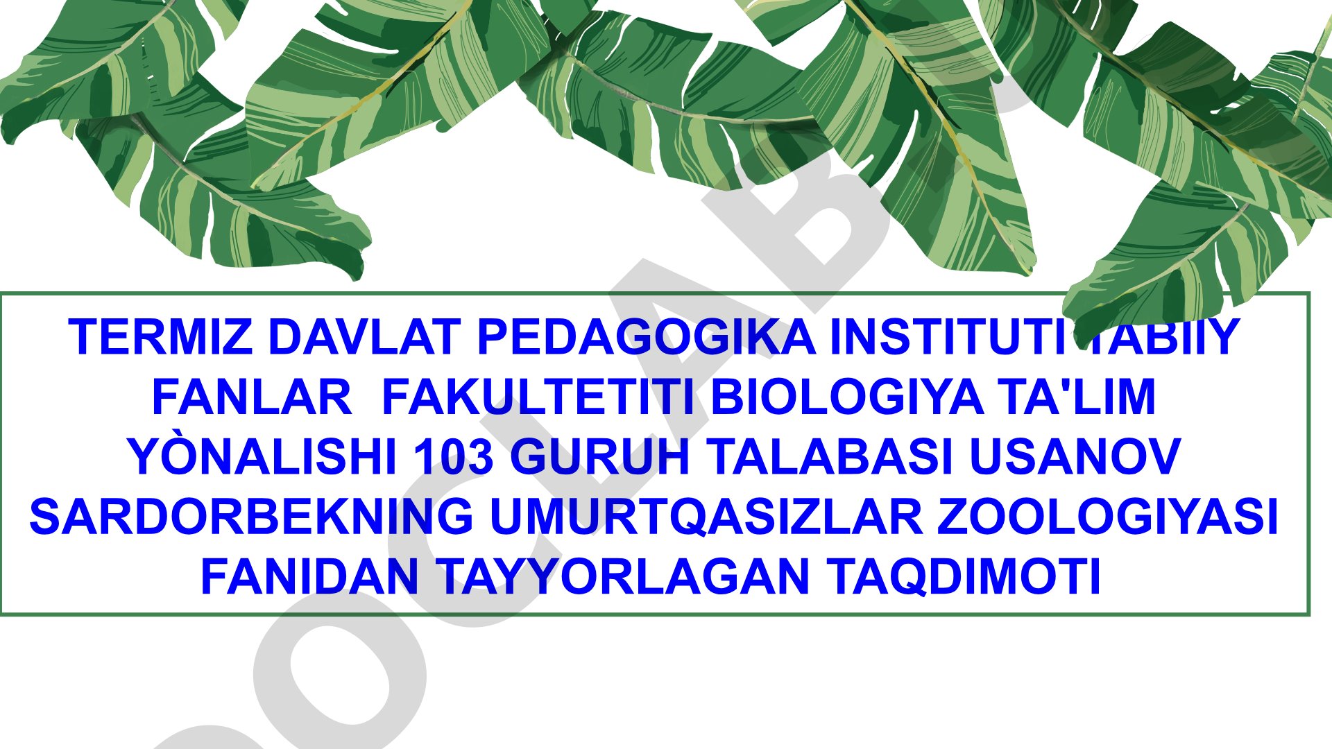 Halqali chuvalchanglar (Annelida) tipi. Kо‘p tuklilar (Polycheata) sinfi