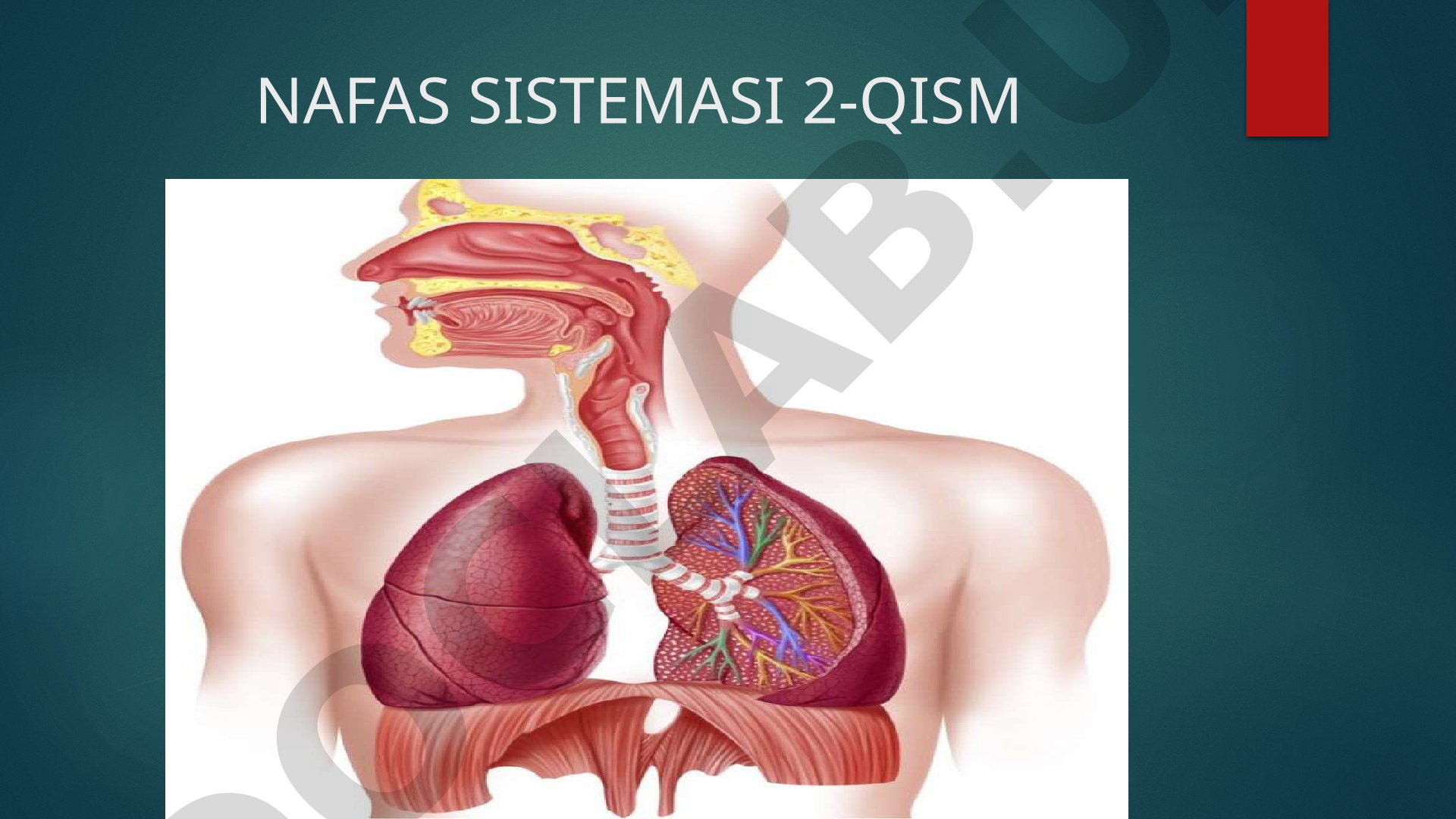 Nafas sistemasi 2-qism